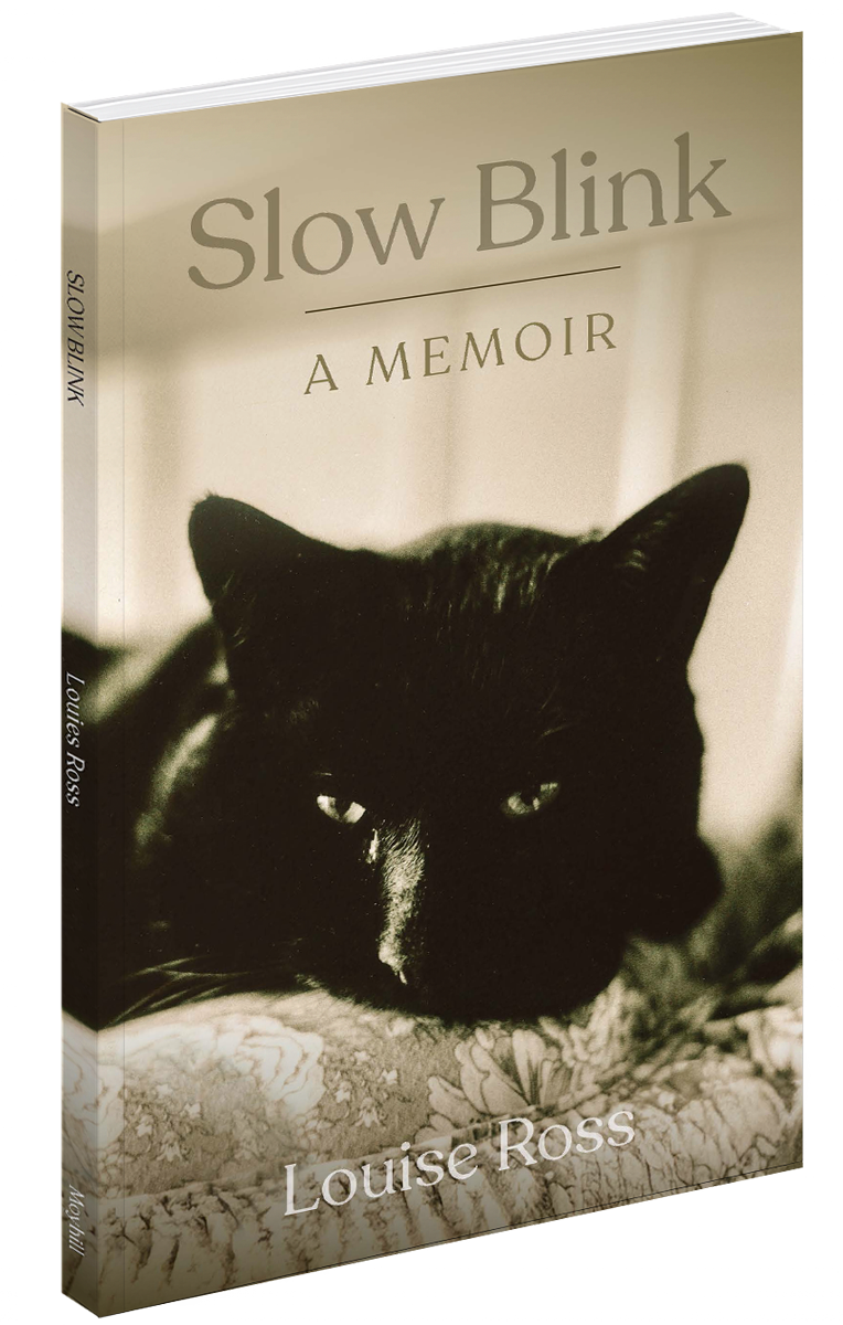 Cover for Slow Blink book with black cat