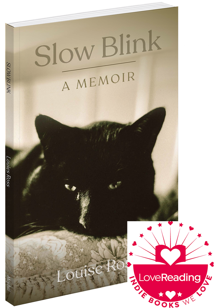 Slow Blink cover with LoveReading award